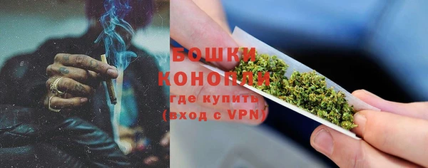 ГАЛЛЮЦИНОГЕННЫЕ ГРИБЫ Медвежьегорск