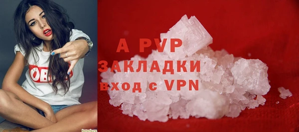ГАЛЛЮЦИНОГЕННЫЕ ГРИБЫ Медвежьегорск