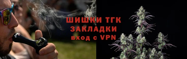 ГАЛЛЮЦИНОГЕННЫЕ ГРИБЫ Медвежьегорск