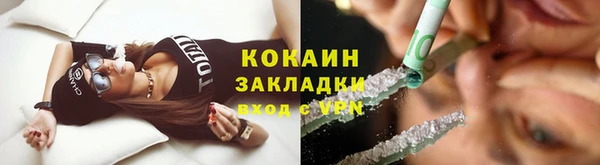 ГАЛЛЮЦИНОГЕННЫЕ ГРИБЫ Медвежьегорск