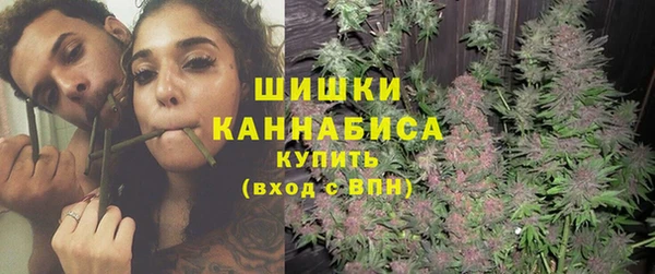 ГАЛЛЮЦИНОГЕННЫЕ ГРИБЫ Медвежьегорск
