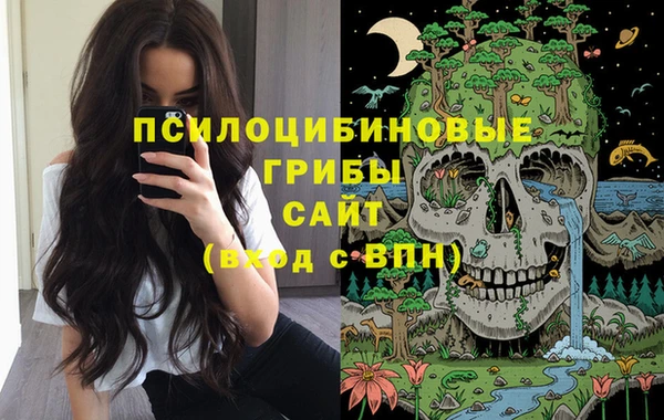 ГАЛЛЮЦИНОГЕННЫЕ ГРИБЫ Медвежьегорск