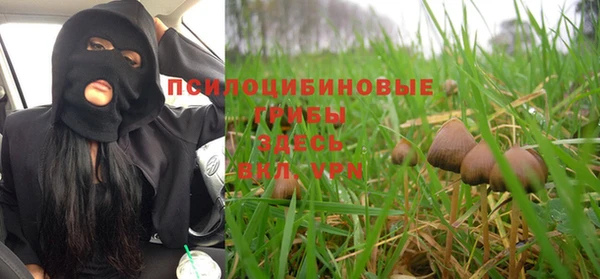 ALPHA PVP Медногорск