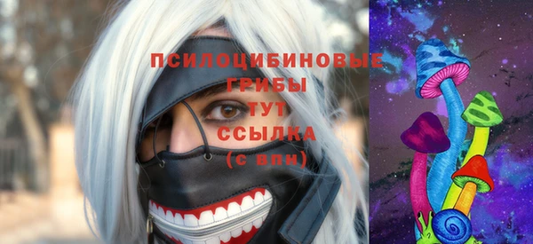 ГАЛЛЮЦИНОГЕННЫЕ ГРИБЫ Медвежьегорск