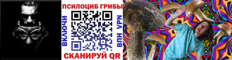 Псилоцибиновые грибы Magic Shrooms  Правдинск 